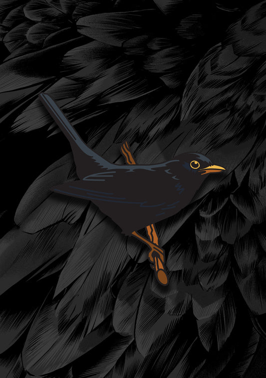 Blackbird